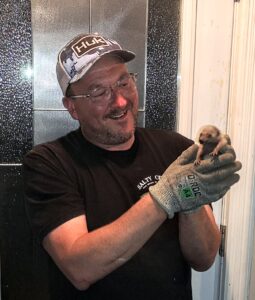 Extermination Prev-Ext photo 4